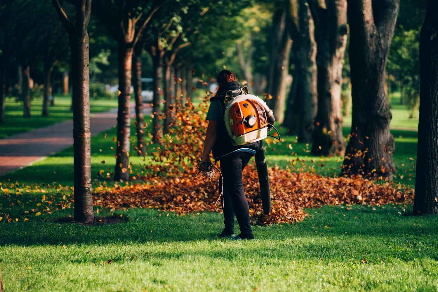 Professional Tree Service in Swartz Creek, MI